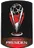 Piala Presiden